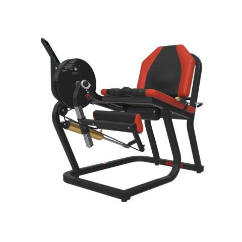 Leg Extension