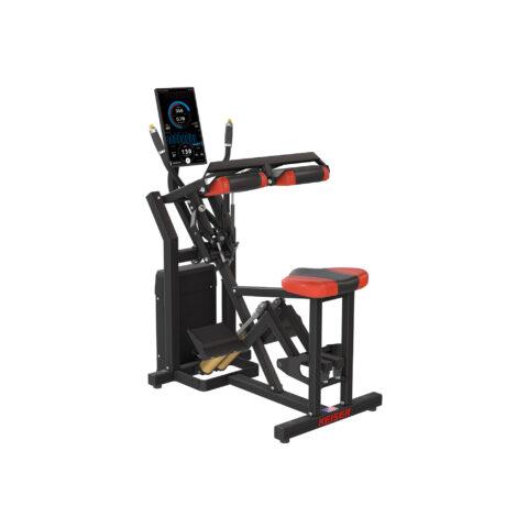 Seated Calf